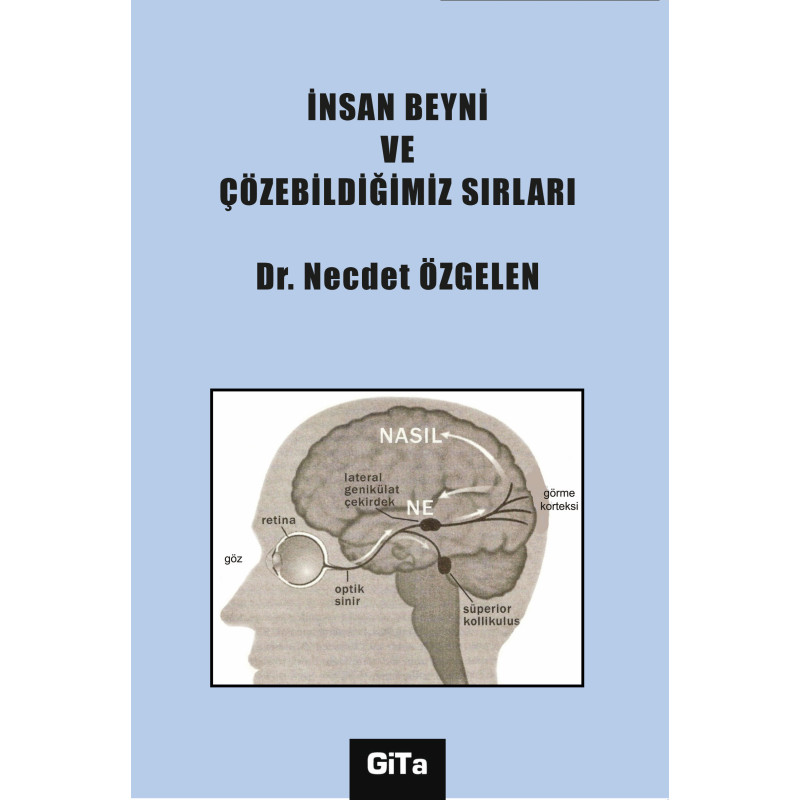 İNSAN BEYNİ VE ÇÖZEBİLDİĞİMİZ SIRLARI