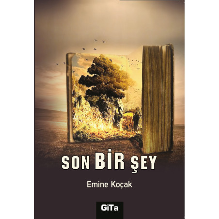 SON BİR ŞEY